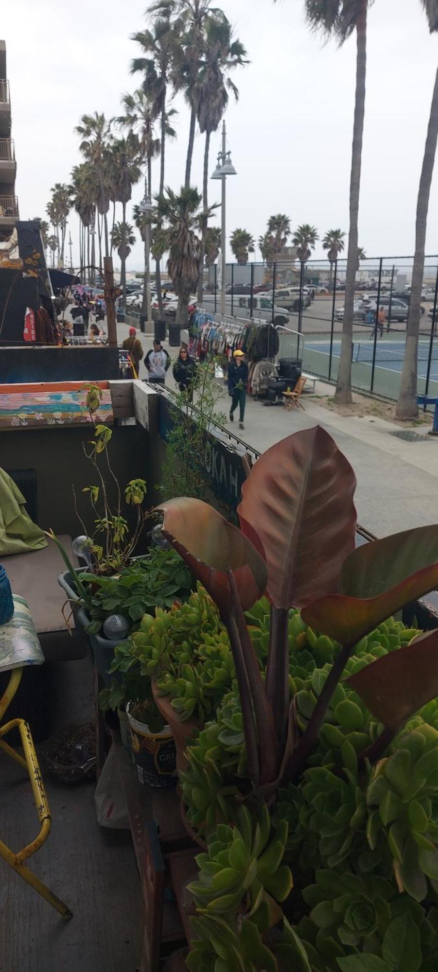 Ocean Front Vortex Female Hostel Private Rooms Free Bikes Los Angeles Extérieur photo
